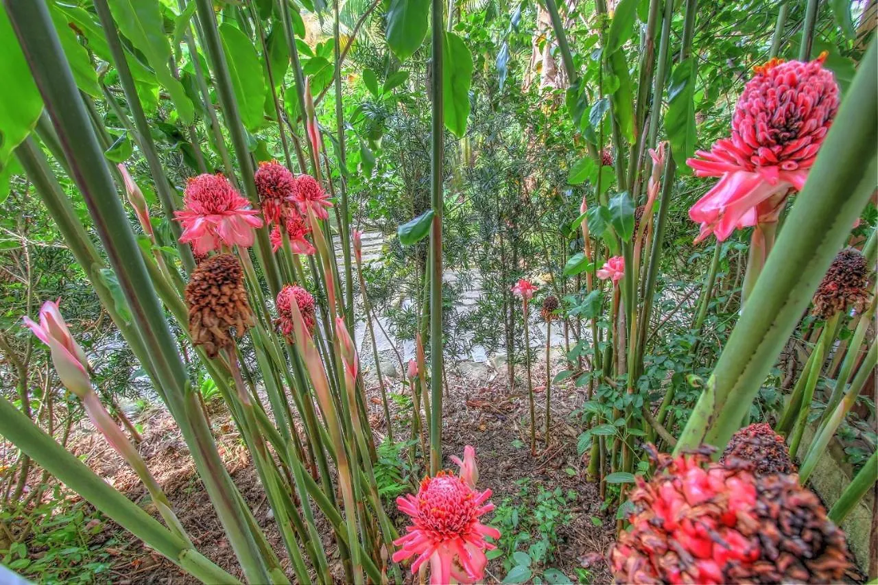 Casa de Férias Vila Equilíbrio Natural Bombinhas